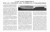 LOS PALOMARES EN LA TIERRA DE CAMPOS PALENTINA