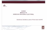 DERECHO PROCESAL ELECTORAL 18032010