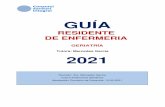 Enfermería Geriátria Guía 2021 - csi.cat