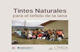 Tintes Naturales - repositorio.inta.gob.ar