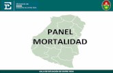 PANEL MORTALIDAD - GOBIERNO de Entre Ríos
