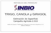 TRIGO, CANOLA y GIRASOL - Instituto de Biotecnología ...