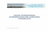 GUIA ITINERARIO FORMATIVO DE CIRUGÍA TORÁCICA