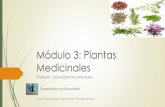 Módulo 3: Plantas Medicinales - Biocealab