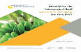 Medidas de bioseguridad para prevención de Foc R4T