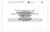 PROGRAMA DE DESARROLLO INSTITUCIONAL (PDI) 2019-2024