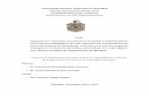 Proyecto de Graduacion - tesisfei.unan.edu.ni
