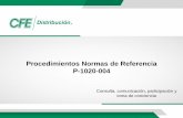 Procedimientos Normas de Referencia P-1020-004