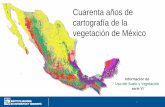 Cuarenta años de cartografía de la vegetación de México