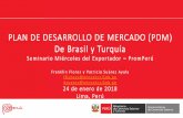 PLAN DE DESARROLLO DE MERCADO (PDM) De Brasil y Turquía