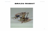 BRAZO ROBOT RIO-ONLINE BRAZO ROBOT