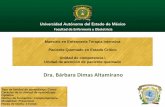 Dra. Bárbara Dimas Altamirano - RI UAEMex