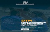 DTM - mic.iom.int