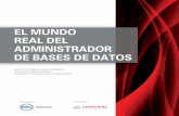 EL MUNDO REAL DEL ADMINISTRADOR DE BASES DE DATOS