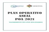 PLAN OPERATIVO ANUAL POA 2021