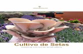 CURSO DE CULTIVO DE SETAS GRATIS - Setas Canarias