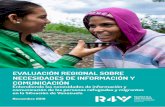 Evaluación Regional sobre Necesidades de Información y ...