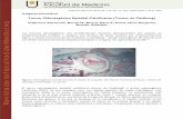 Tumor Odontogénico Epitelial Calcificante (Tumor de Pindborg)