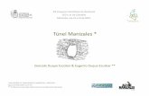 Túnel Manizales - unal.edu.co
