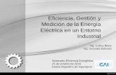 Eficiencia, Gestión y Medición de la Energía Eléctrica en ...