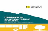 ACTUALIZACIÓN DEL ESTUDIO ConvenienCia del Gas natural ...