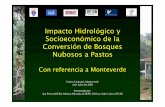 Impacto Hidrológico y Socioeconómico de la Conversión de ...