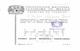 PEDRO ELOY MENDOZA - 132.248.9.195