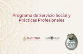 Programa de Servicio Social y Prácticas Profesionales