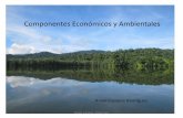 Componentes Económicos y Ambientales