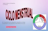 OC: Describir el ciclo menstrual e identificar sus fases ...