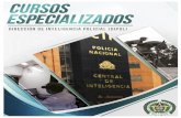 DIRECCIÓN DE INTELIGENCIA POLICIAL (DIPOL)