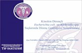 Kinolon Dirençli Escherichia coli ve Klebsiella spp ...