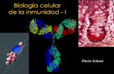 Biología celular de la inmunidad - I