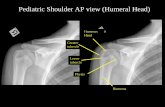 Pediatric Shoulder AP view (Humeral Head)