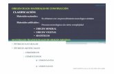 CLASIFICACIÓN - aulavirtual.fio.unam.edu.ar