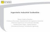 Ingeniería Industrial Sostenible