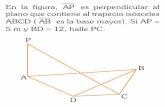 En la figura, es perpendicular al AP plano que contiene al ...