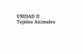 UNIDAD II Tejidos Animales - UNSa