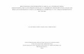 REVISION SISTEMATICA DE LA LITERATURA: IDENTIFICAR LOS ...
