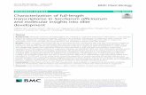 Characterization of full-length transcriptome in Saccharum ...