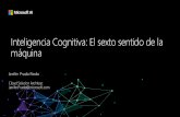 Inteligencia Cognitiva: El sexto sentido de la máquina