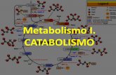 Metabolismo I. CATABOLISMO