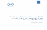 Guía de Práctica Clínica de la AEDV para el carcinoma de ...