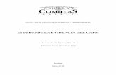 ESTUDIO DE LA EVIDENCIA CAPM - Comillas
