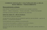 CAMBIOS SOCIALES Y CULTURALES DE LA BAJA EDAD MEDIA