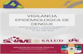 VIGILANCIA EPIDEMIOLOGICA DE DENGUE