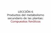 LECCIÓN 6 Productos del metabolismo secundario de las ...