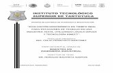 INSTITUTO TECNOLÓGICO SUPERIOR DE TANTOYUCA