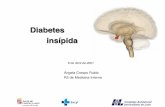 Diabetes insípida - ICSCYL