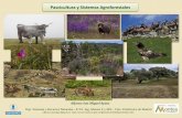 Pascicultura y Sistemas Agroforestales